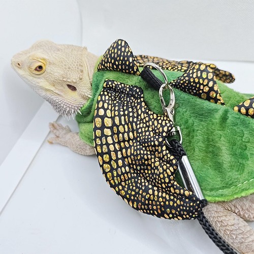 Harnais pour reptiles laisse - harnais,