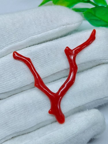 Branche polie corail - , rouge