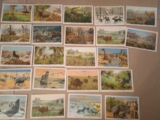 22 Images Anciennes Chromo Récompense Scolaire Les Grandes Chasses Animaux