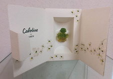 CABOTINE - Grande Boite - EDP