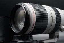 Canon EF 100-400mm f/4.5-5.6 L
