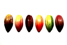 6 Fèves CLAMECY LES CABOSSES