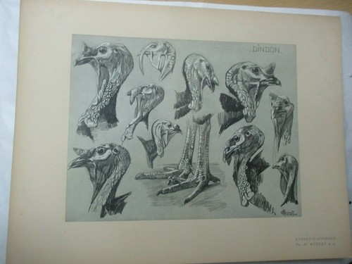 Mathurin méheut planche - méheut,