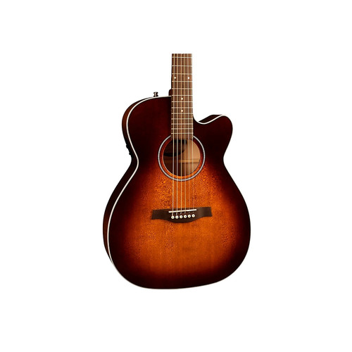 Seagull performer presys - seagull, cw