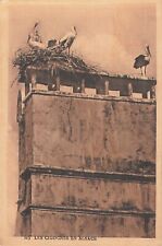 CP NID DE CIGOGNES EN ALSACE - 41981