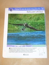 46 FICHES OISEAUX DE FRANCE /