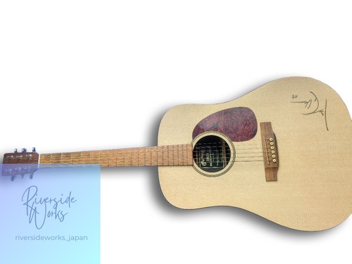 Guitare acoustique martin dmx - guitare,