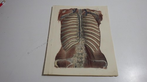 1850 lithographie couleur - 1850.lithographie,