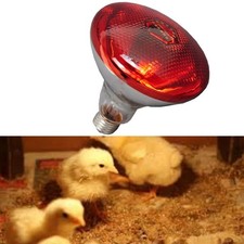 Lampe Chauffante pour Poules Coop Couveuse avec Lumière Infrarouge Rouge E27 Ba