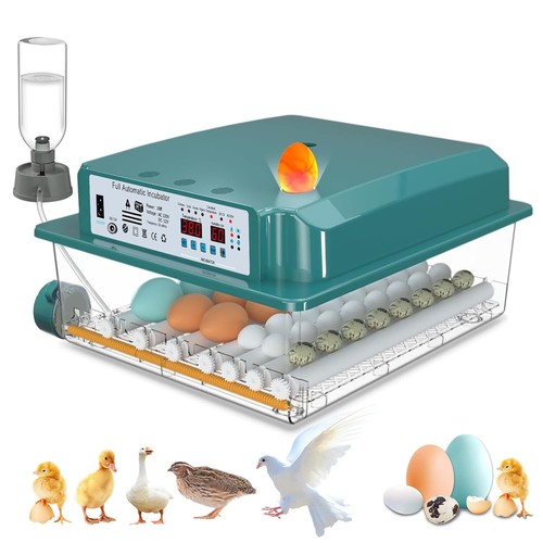 Incubateur automatique - incubateur,