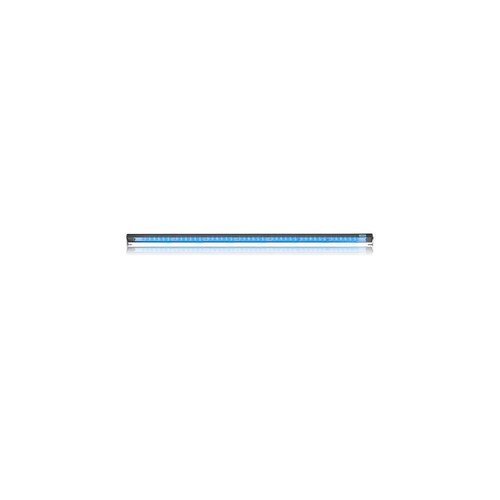 Reef brite xho blue - xho, 36"