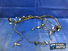 Faisceau électrique principale YAMAHA YZF 600 R THUNDERCAT