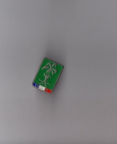 Pin armée insigne - pin's,