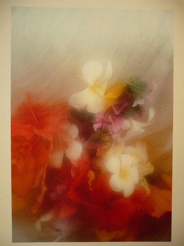 Carte postale david - ,