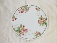 Villeroy Et Boch "Portobello" Plat À Gâteau !