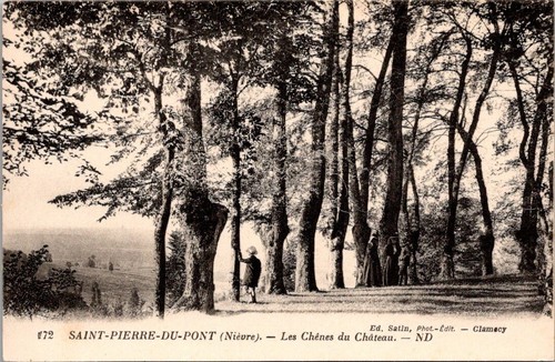 51060 cpa saint pierre du - saint,