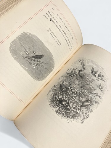 MICHELET-L’Oiseau