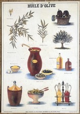 🫒 Ancienne affiche scolaire Deyrolle originale, années 50 - L'huile d'olive