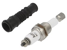 RM79696006 Électrode Zelio