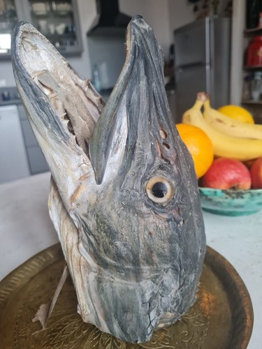 Taxidermie tête poisson - taxidermie,