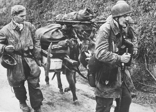 Ww2 fallschirmjager fjr - lw, fj