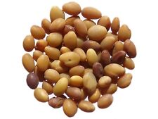 Trèfle d'Alexandrie -