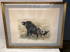 Aquarelle chasse pierre - chasse,
