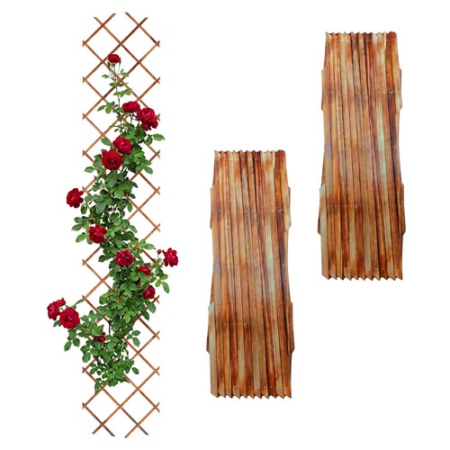 Treillis extensible sapin - extensible, en