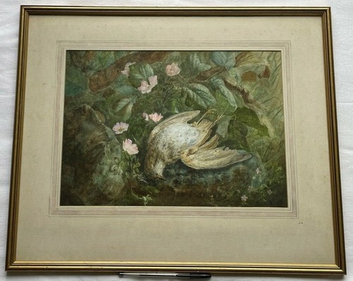 Peinture aquarelle j p - de, j.p