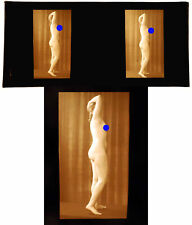 PHOTO STEREO EROTIQUE sur