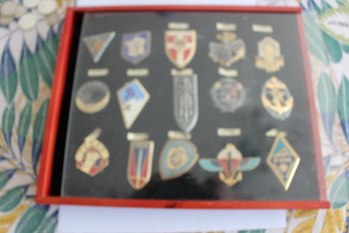 Superbe plateau insignes - de,