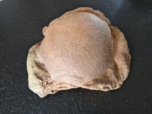 Bernard dejonghe carapace - dejonghe,