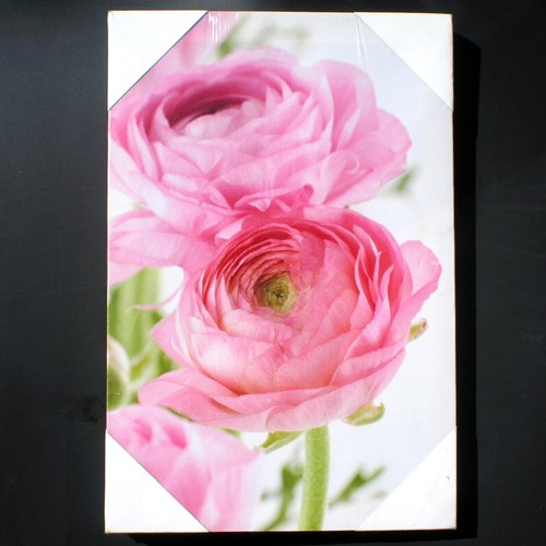 Tableau fleurs renoncules - tableau,