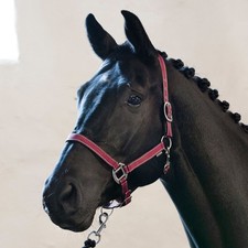 Horse Guard RIO Licol - Corail