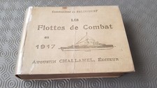 Les Flottes de Combat en 1917