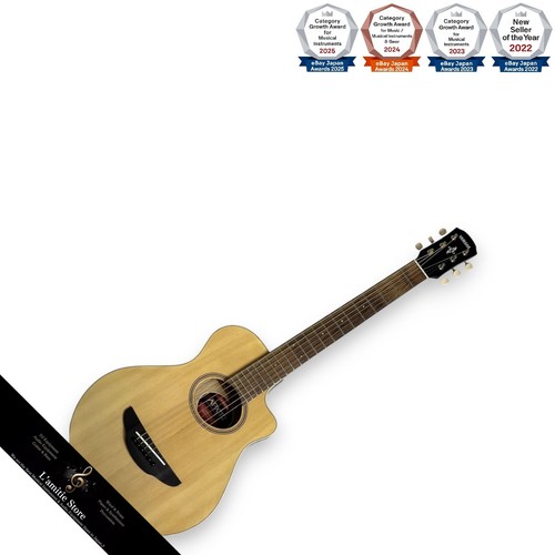 Guitare acoustique électrique