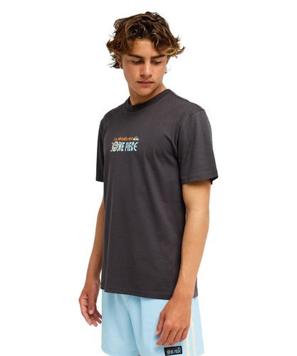 One piece quiksilver pirates - one,