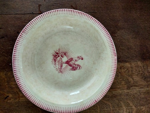 Saladier plat terre fer - saladier,
