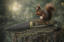 L’écureuil. Couteau
