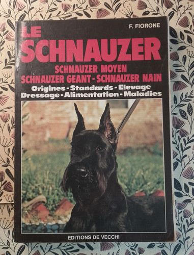 Schnauzer fiorone - schnauzer,