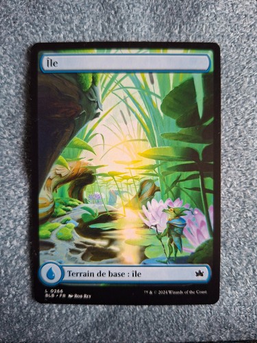 Mtg magic carte terrain - magic,