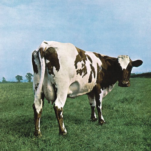 Pink floyd atom heart - pink,