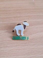 (D5) Pins dromadaire