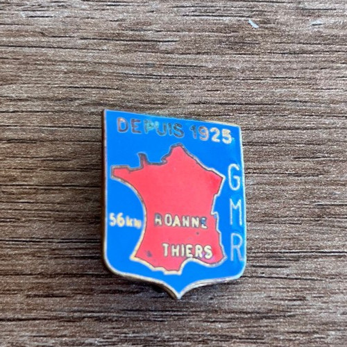 Insigne militaire n396 gmr - insigne,
