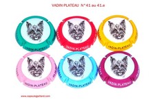 Série de 6 Capsules de