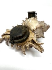 Encrier & Porte Plume Coquillage & Laiton Vers 1900 Antique Shell Inkwell