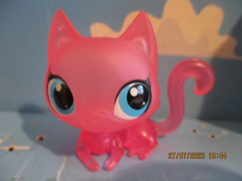 Petshop chat sphynx - petshop,