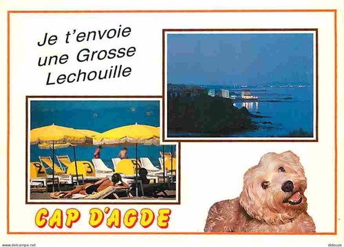 Carte postale animaux - carte,