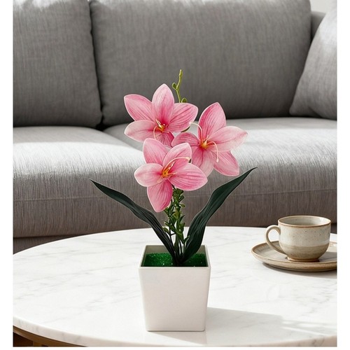 Cymbidium orchidée fausse - orchidée,