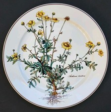 Sublime GRANDE ASSIETTE